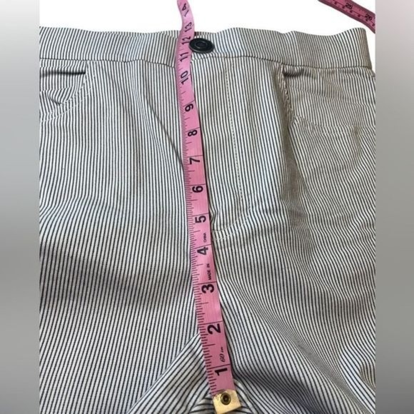 Free People Florence Crop Flare Railroad Stripe Pants Blue White Size Medium - Picture 11 of 14